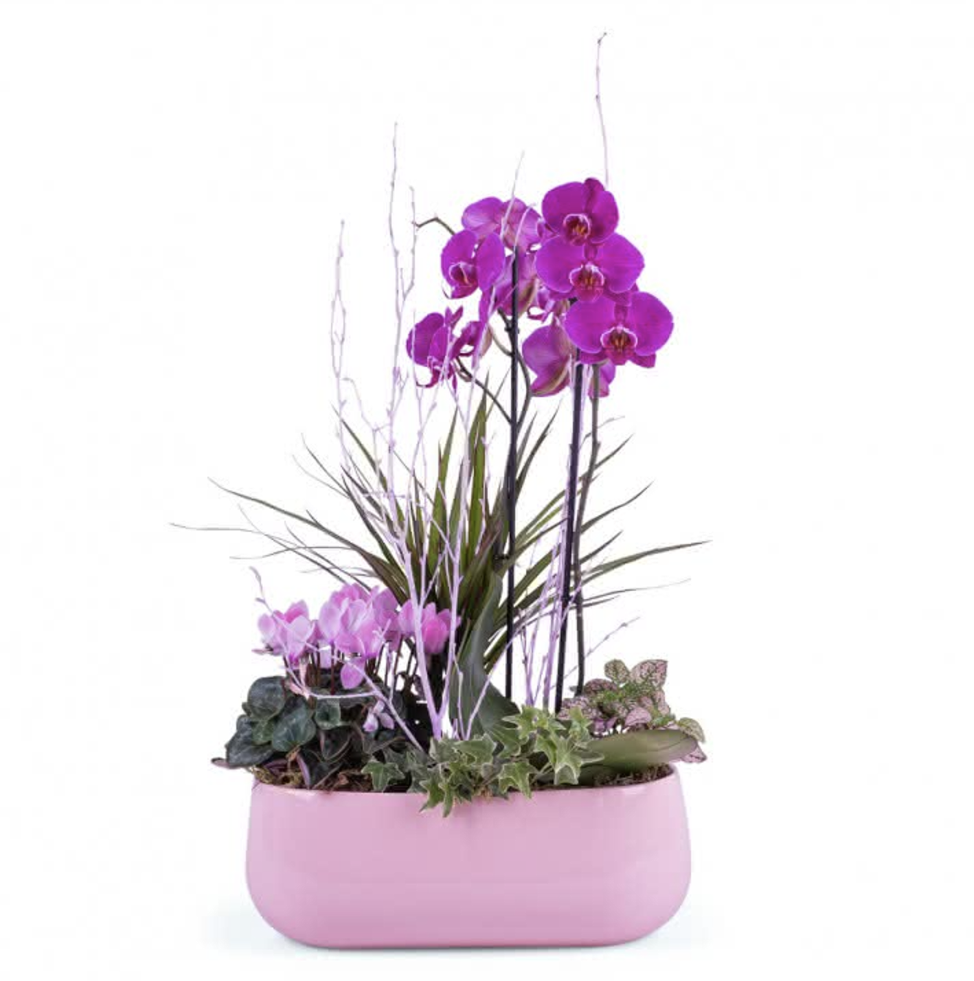 CENTRO JARDÍN BOTÁNICO (Creativo del florista )