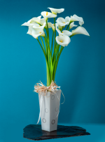 DELICADEZA