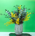 INSPIRACION BOTANICA ETERNA
