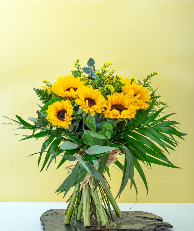GIRASOLES
