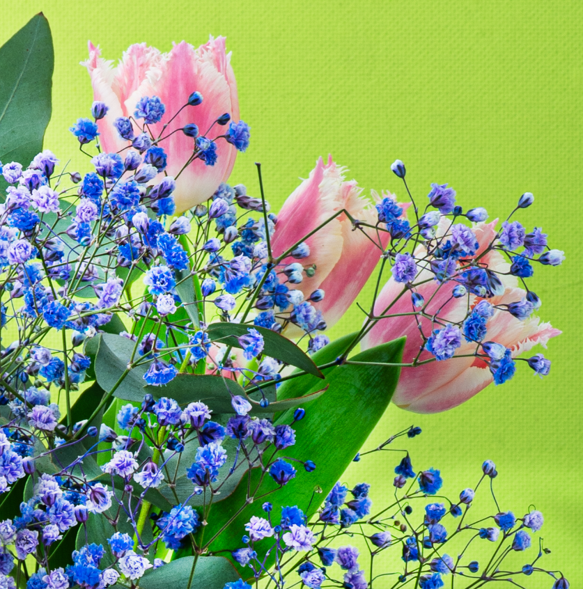 RAMO DE TULIPANES - Imagen 3