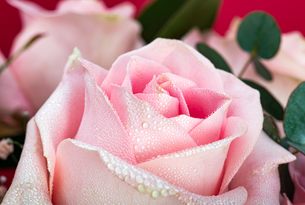 BOUQUET DULZURA - Imagen 2